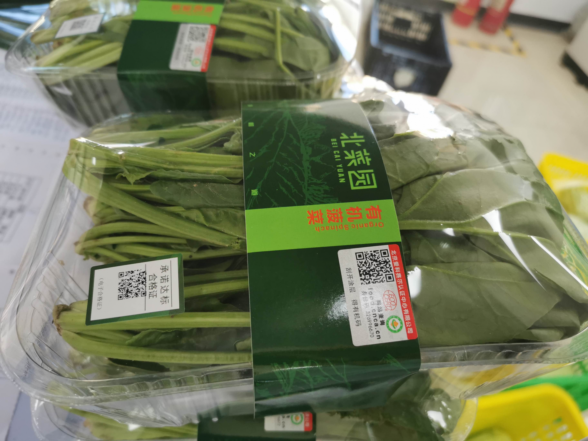 图片 10
