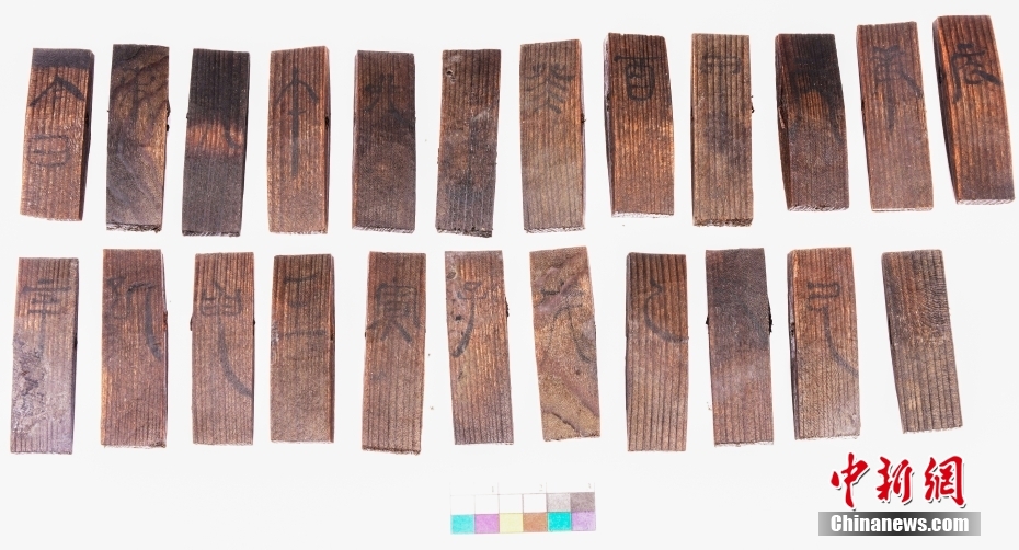 2c8d81b2126d4c9da4ecae3b62b9232e