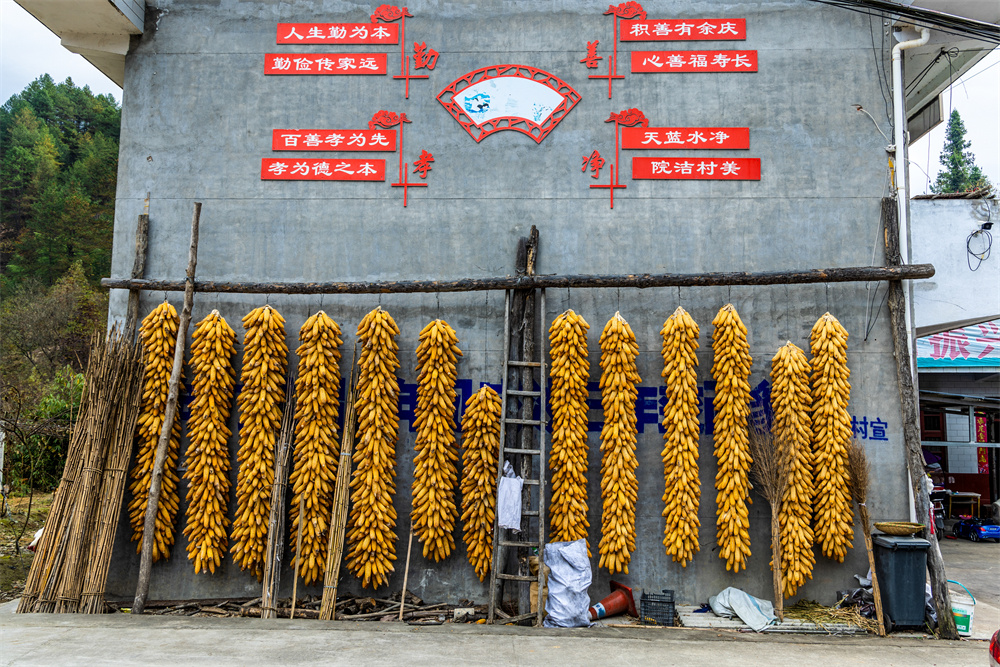 图片 4