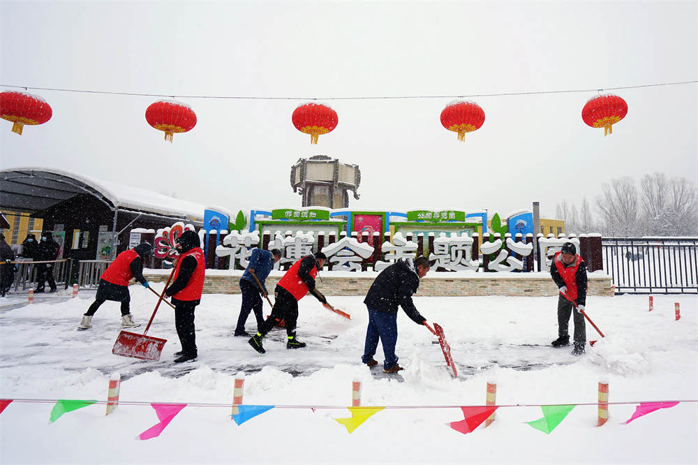 图片 6