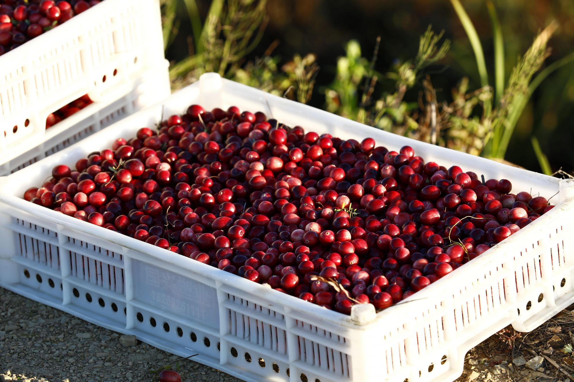 降準後多天房貸利率下調，購房需供仍易推動