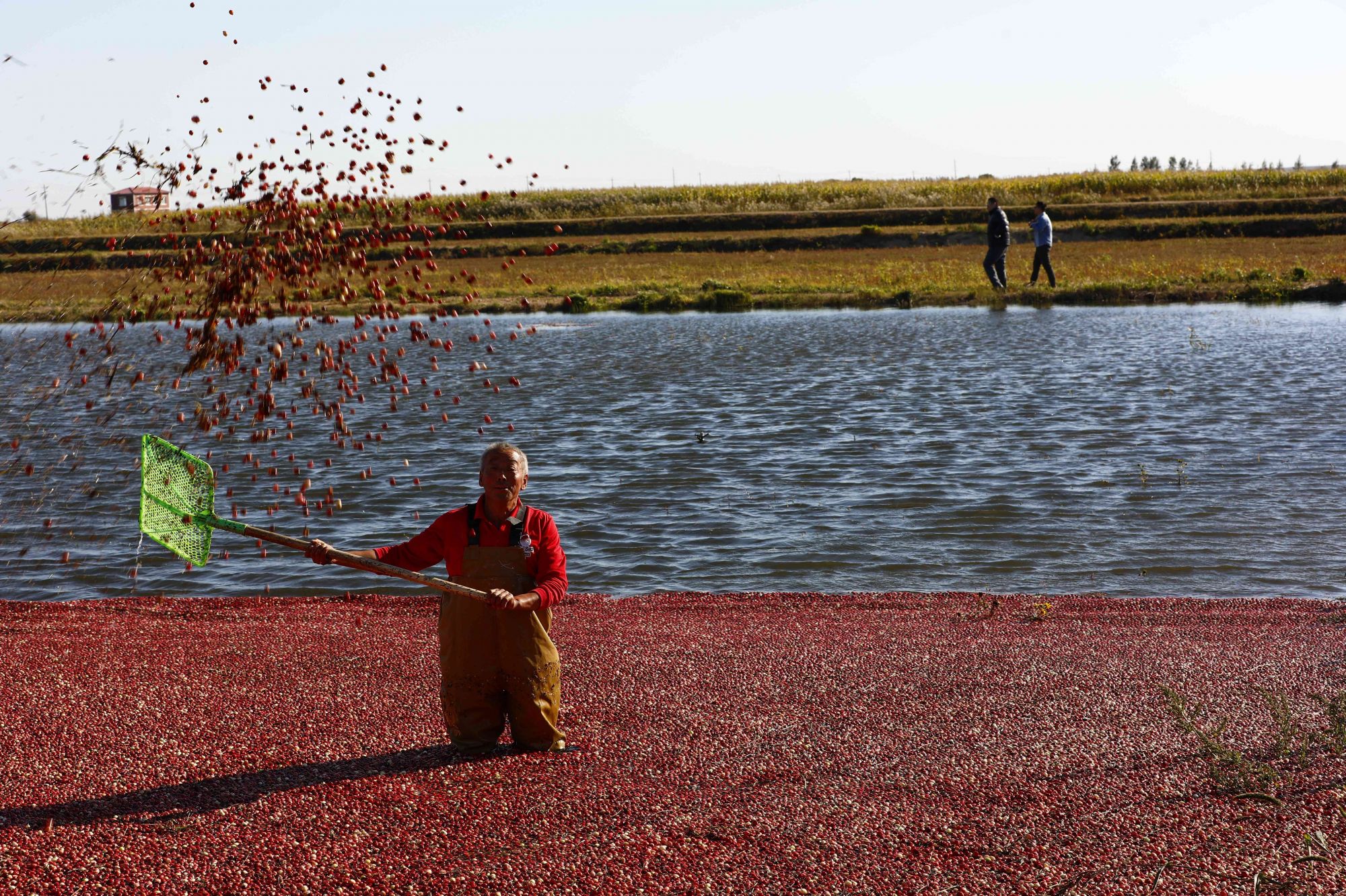 PC可駭新做《詭屋（House of Caravan）》截圖 嚇尿了換條褲子再戰