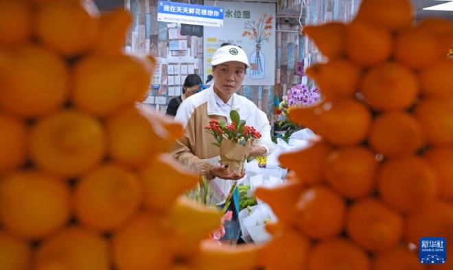 360截图20240201100022694