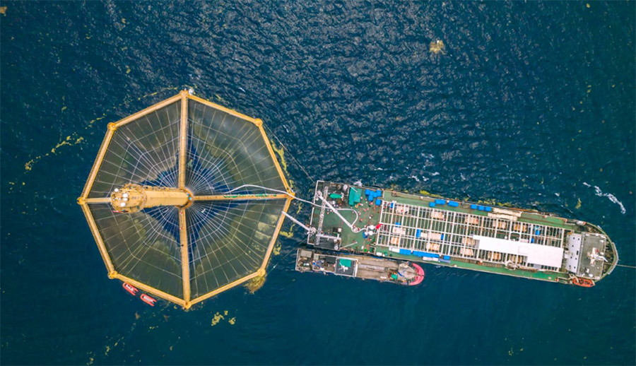 黄海海域的&ldquo;深蓝1号&rdquo;。彭照军摄