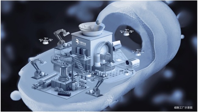合成生物入门指南带你走进颠覆未来的生命学科