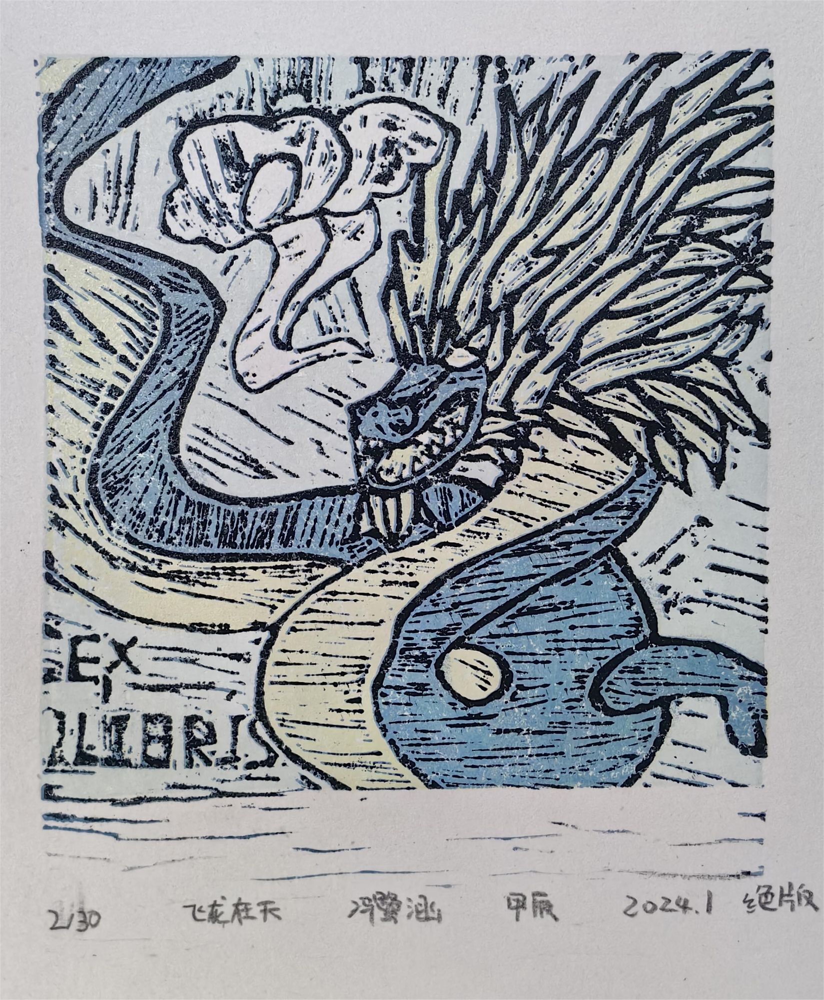 冯鹭涵《飞龙在天》