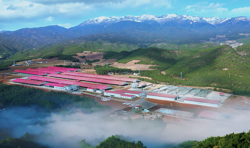 1云端牧场航拍美景。云端牧场供图