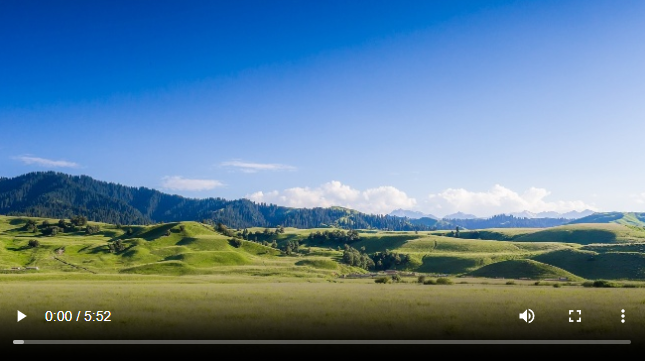 QQ截图20240415185416