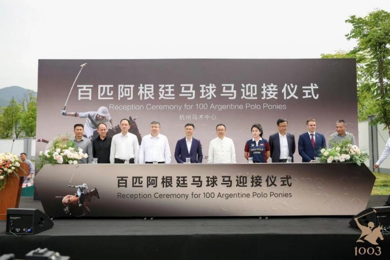 中国马球里程碑 百匹阿根廷马球马迎接仪式圆满成功