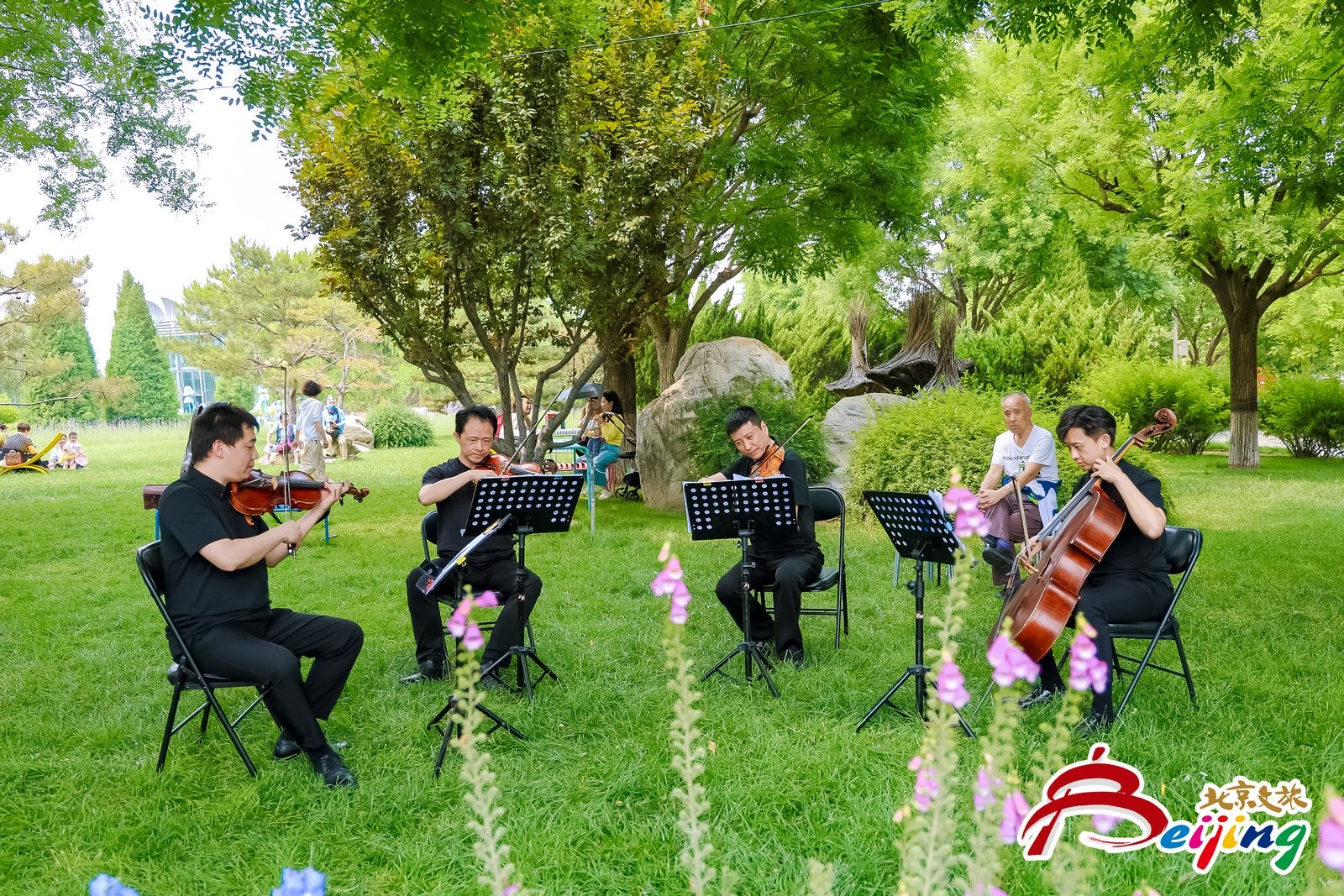 微信图片_20240519144427