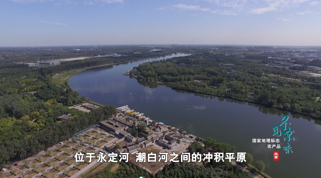 图片 4