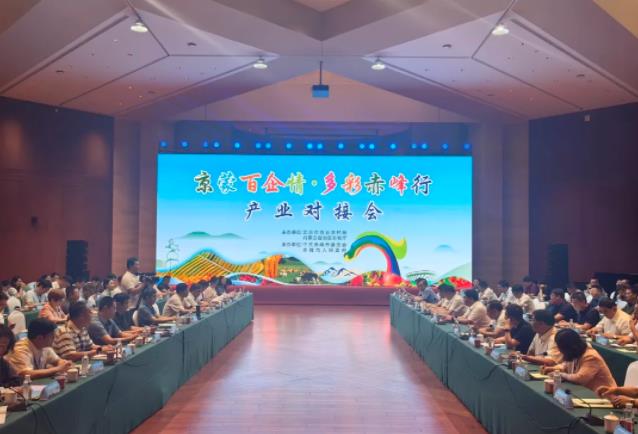 360截图20240701095113742