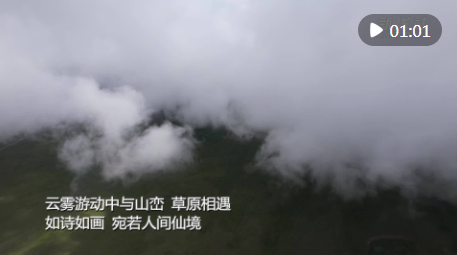 09B1C698-02E4-4361-83C3-5909799F5D30