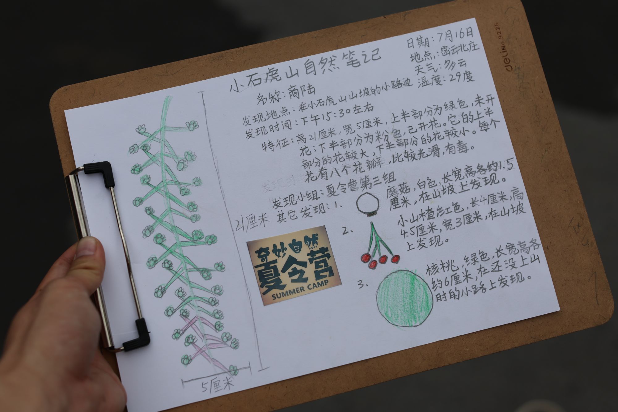 10 自然笔记