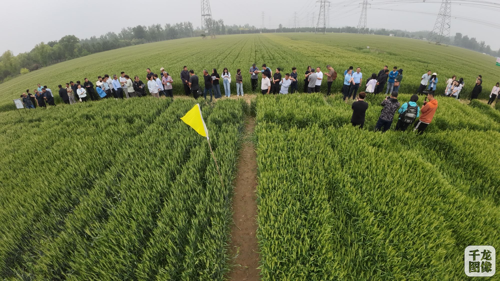 DJI_20240522093429_0037_D