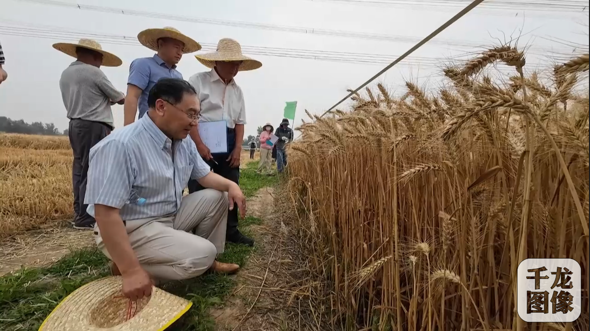 微信图片_20240809112437