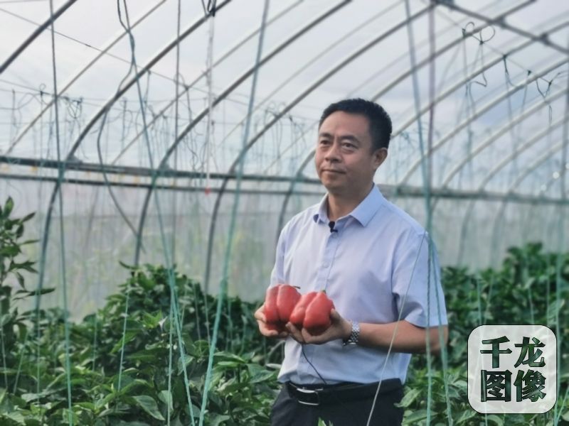 微信图片_20240817192112