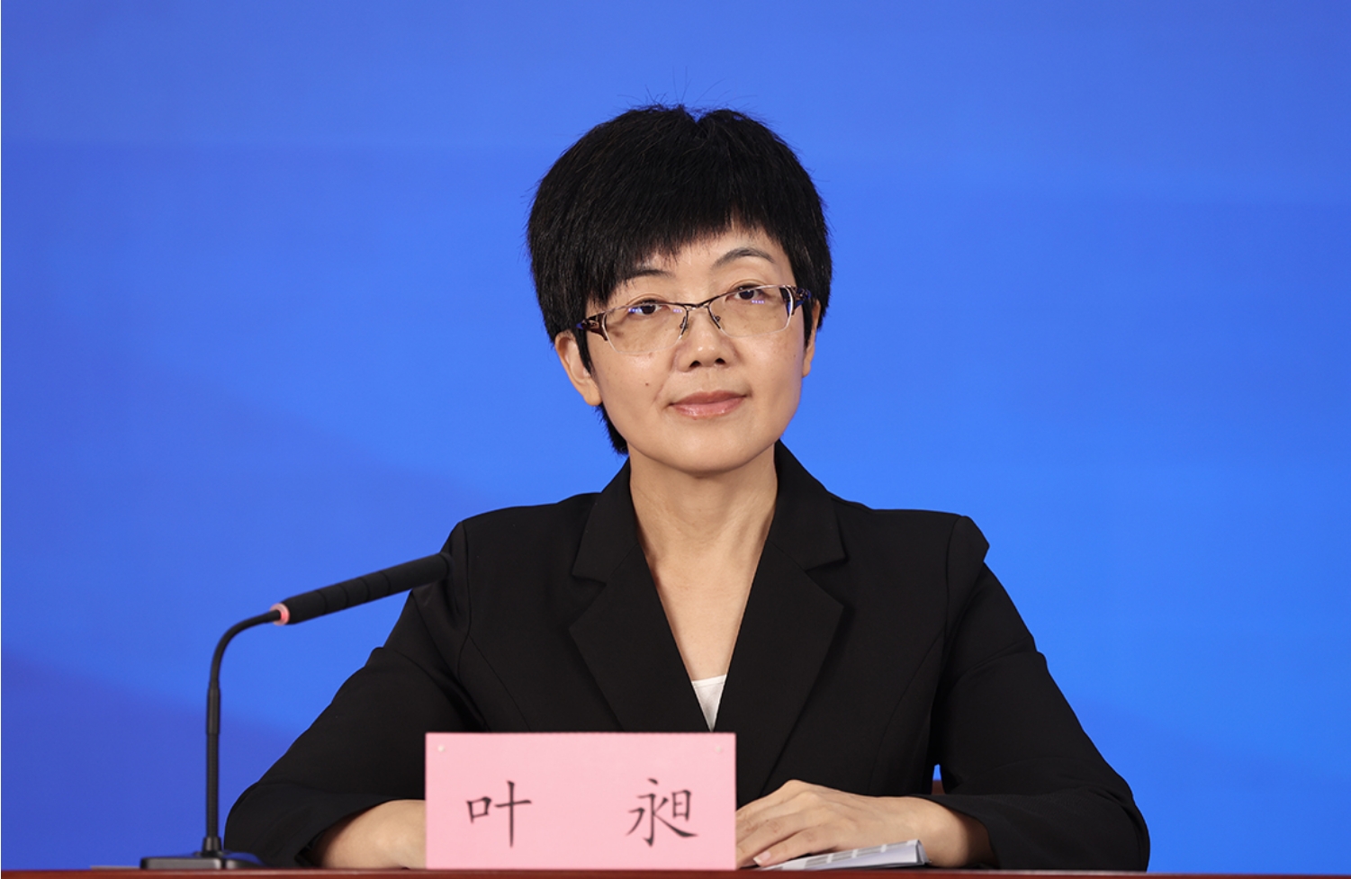 北京市委宣传部对外新闻处处长 叶昶