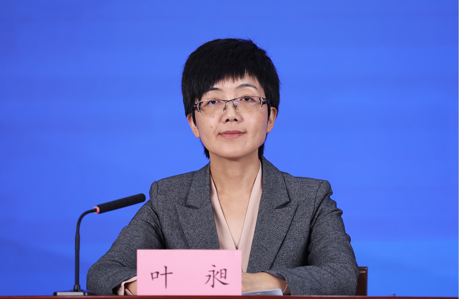 北京市委宣传部对外新闻处处长 叶昶