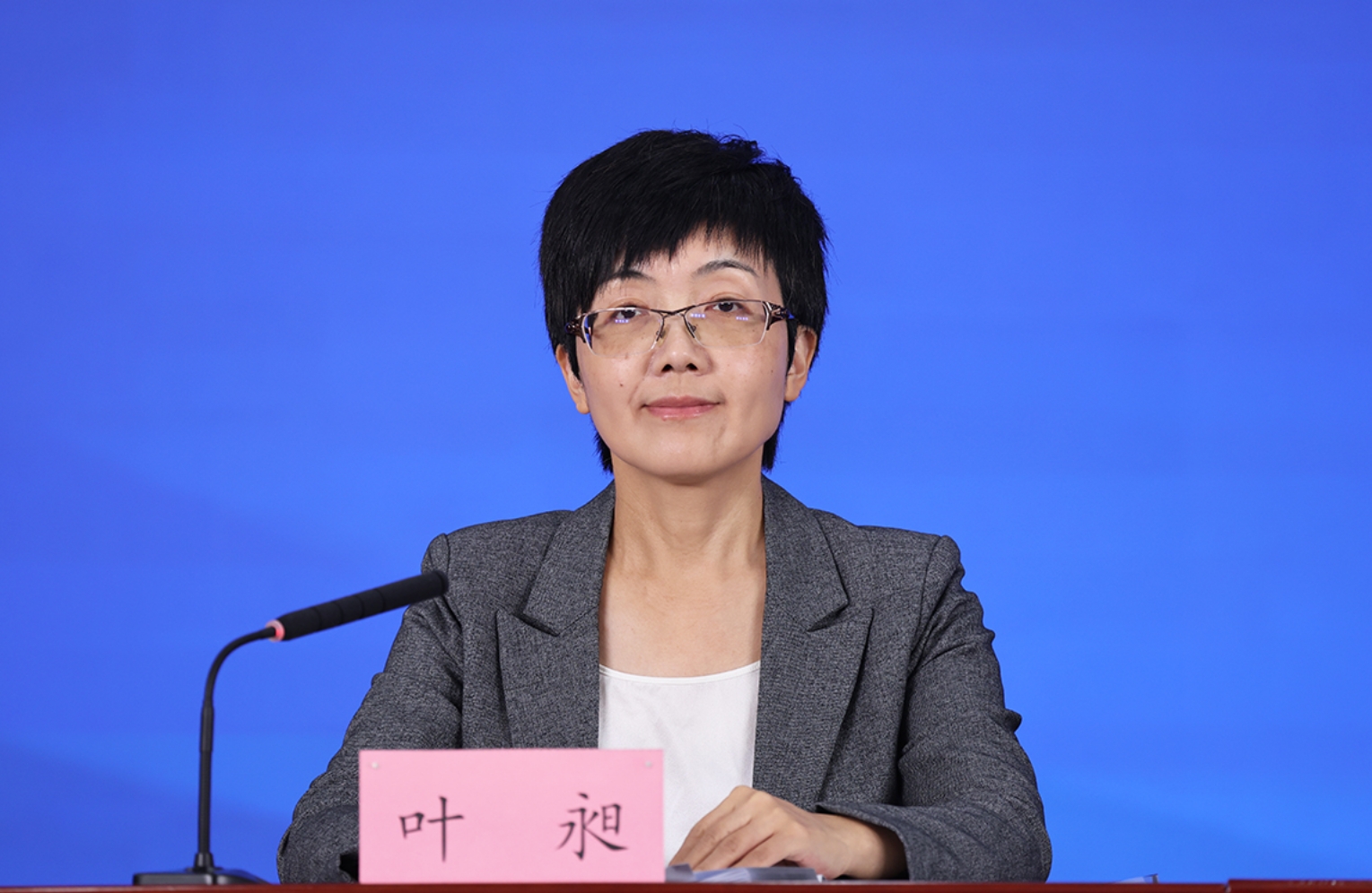 北京市委宣传部对外新闻处处长 叶昶