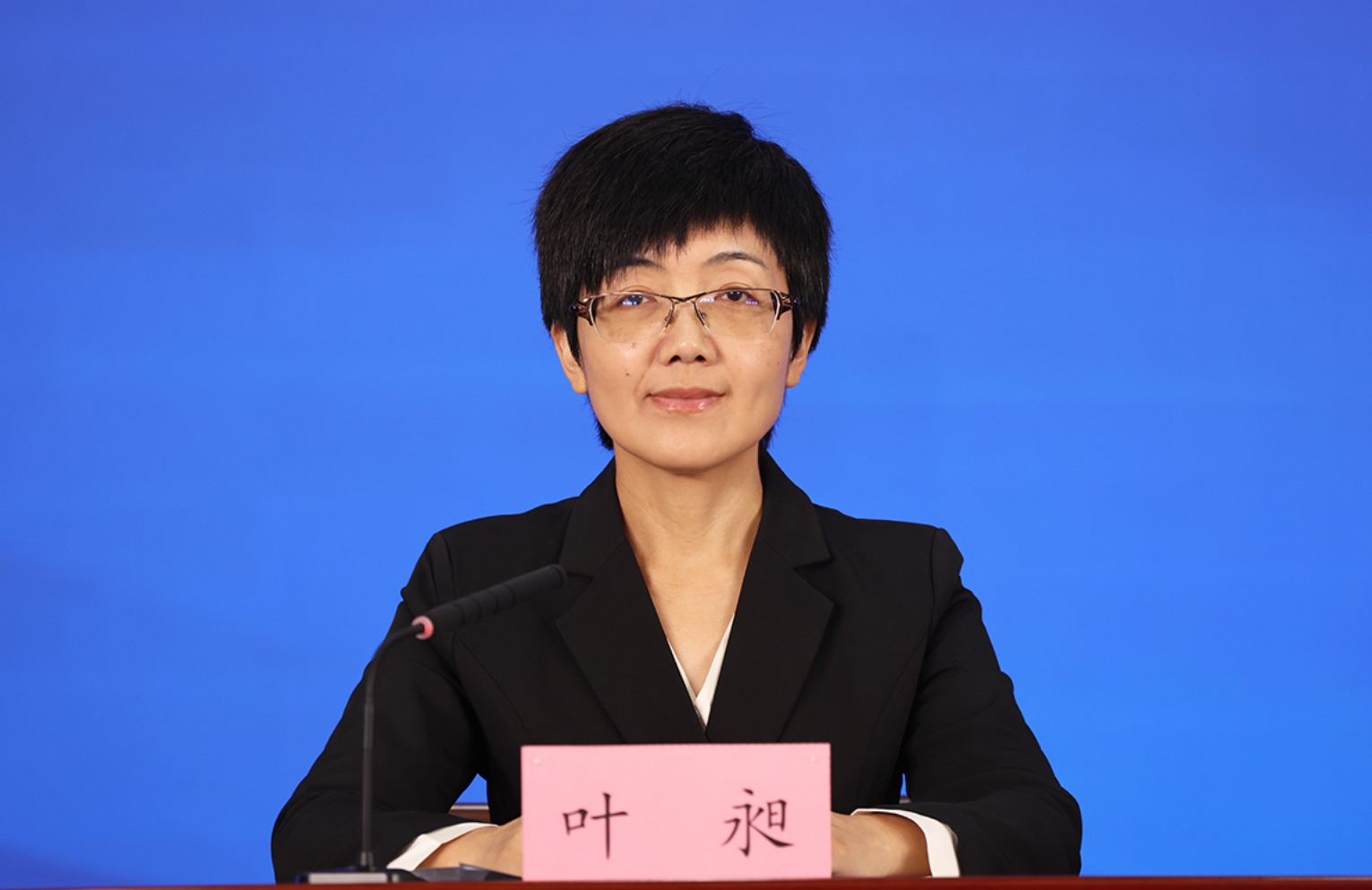 主持人：北京市人民政府新闻办对外新闻处处长 叶昶