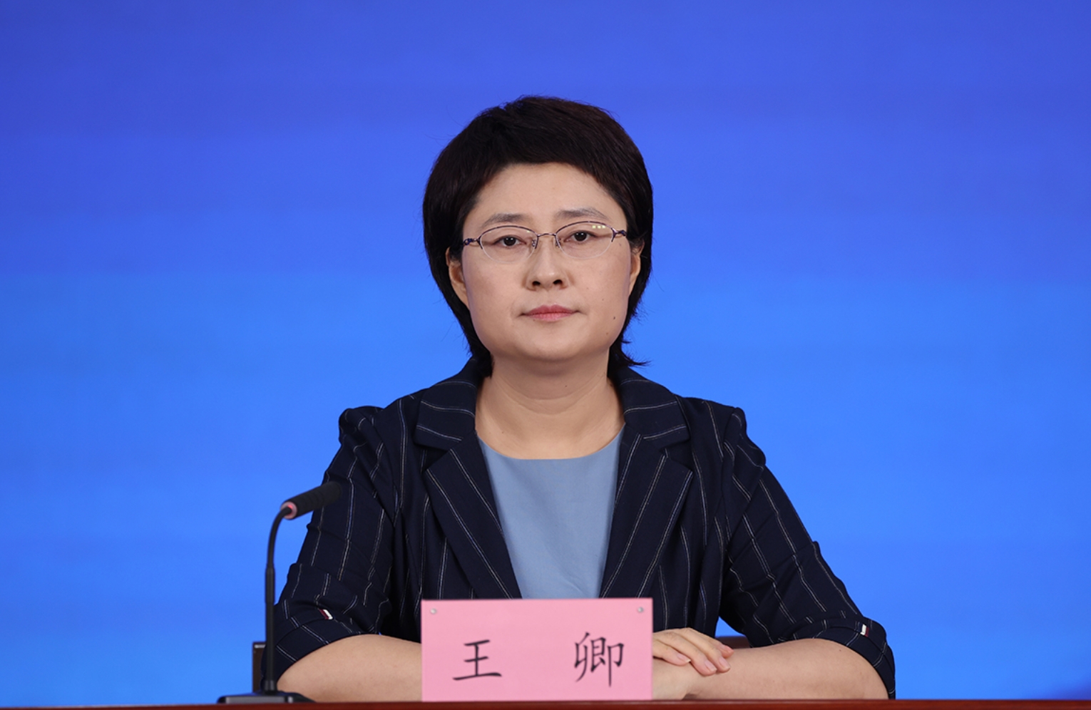 北京首都国际机场临空经济区管委会副主任 王卿