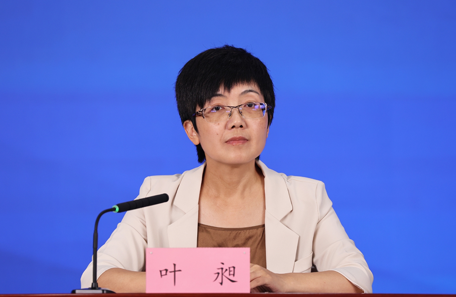 主持人：北京市人民政府新闻办对外新闻处处长 叶昶