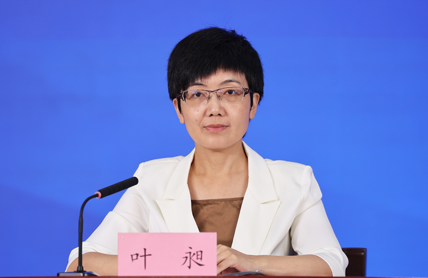 北京市委宣传部对外新闻处处长 叶昶