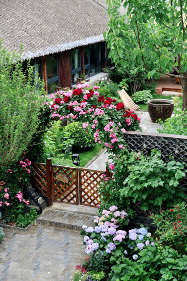 老友季乡村花园民宿 --金叵罗