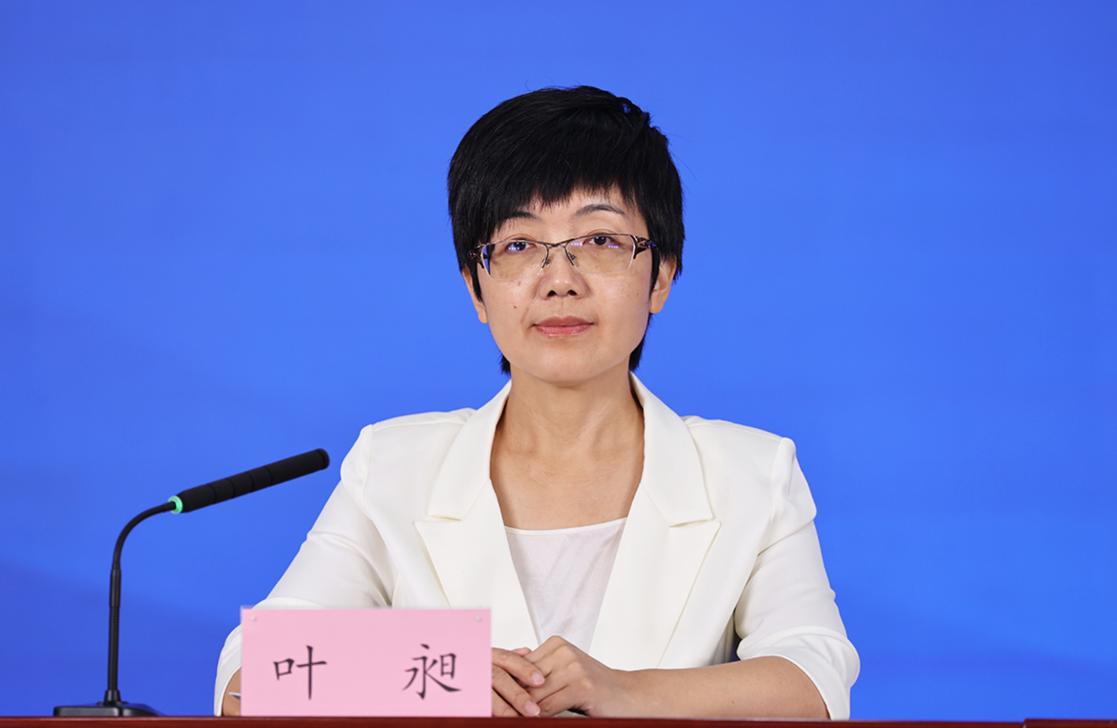 北京市委宣传部对外新闻处处长 叶昶