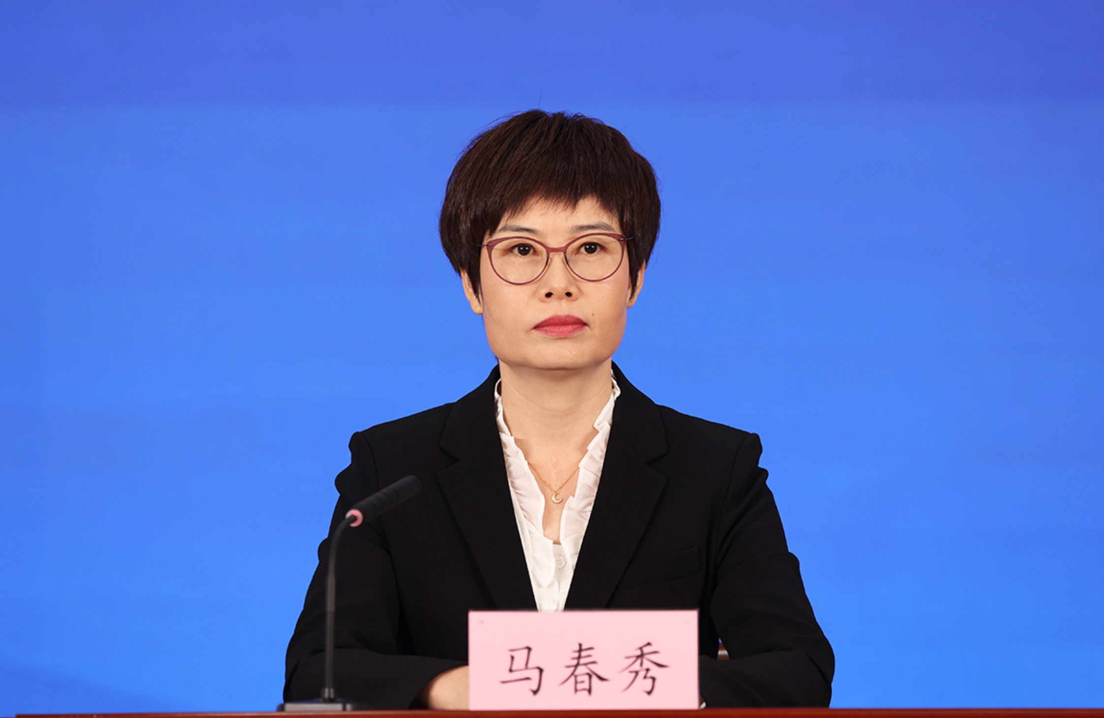 昌平区政府副区长 马春秀
