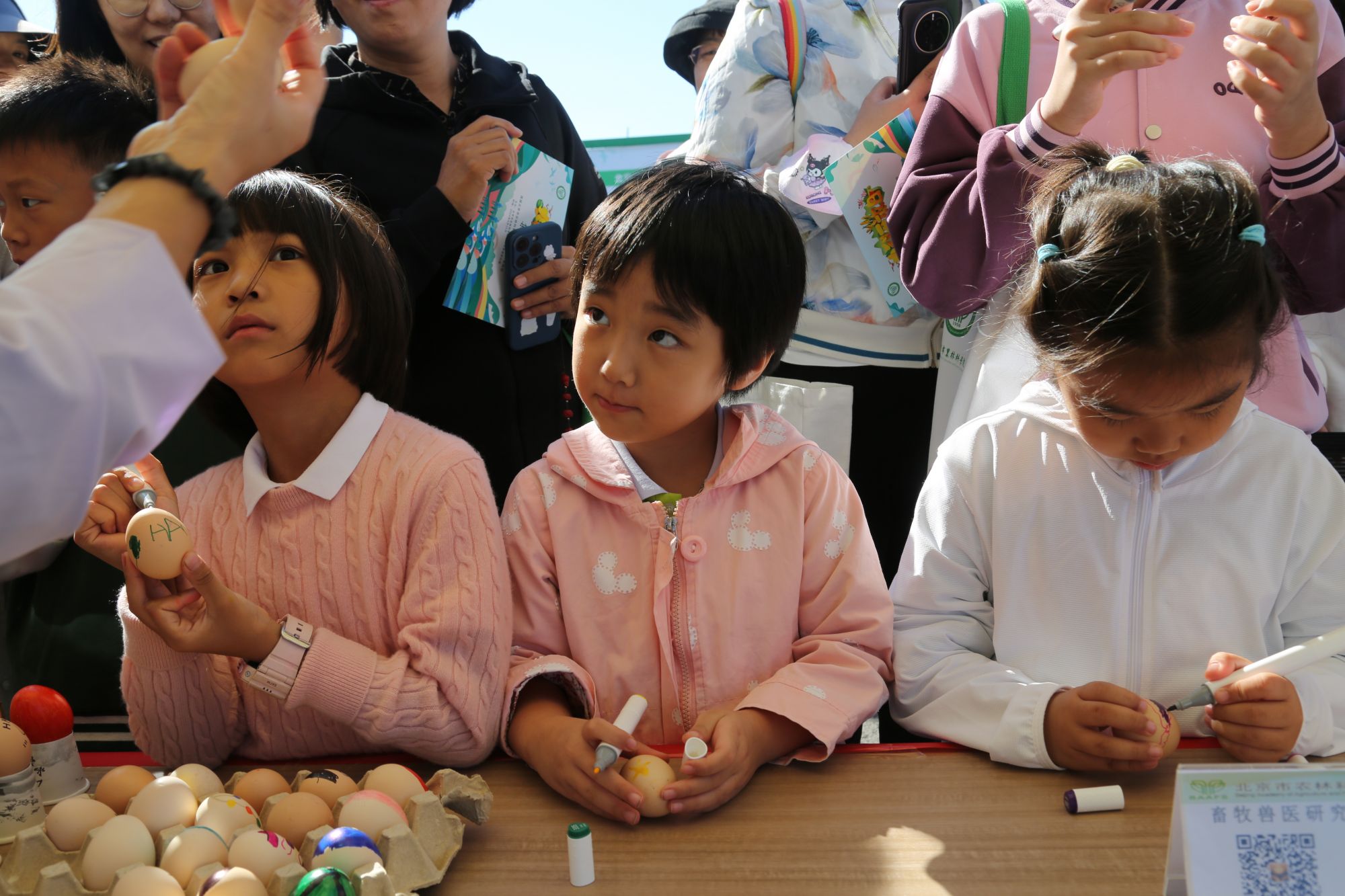 畜牧兽医研究所-1