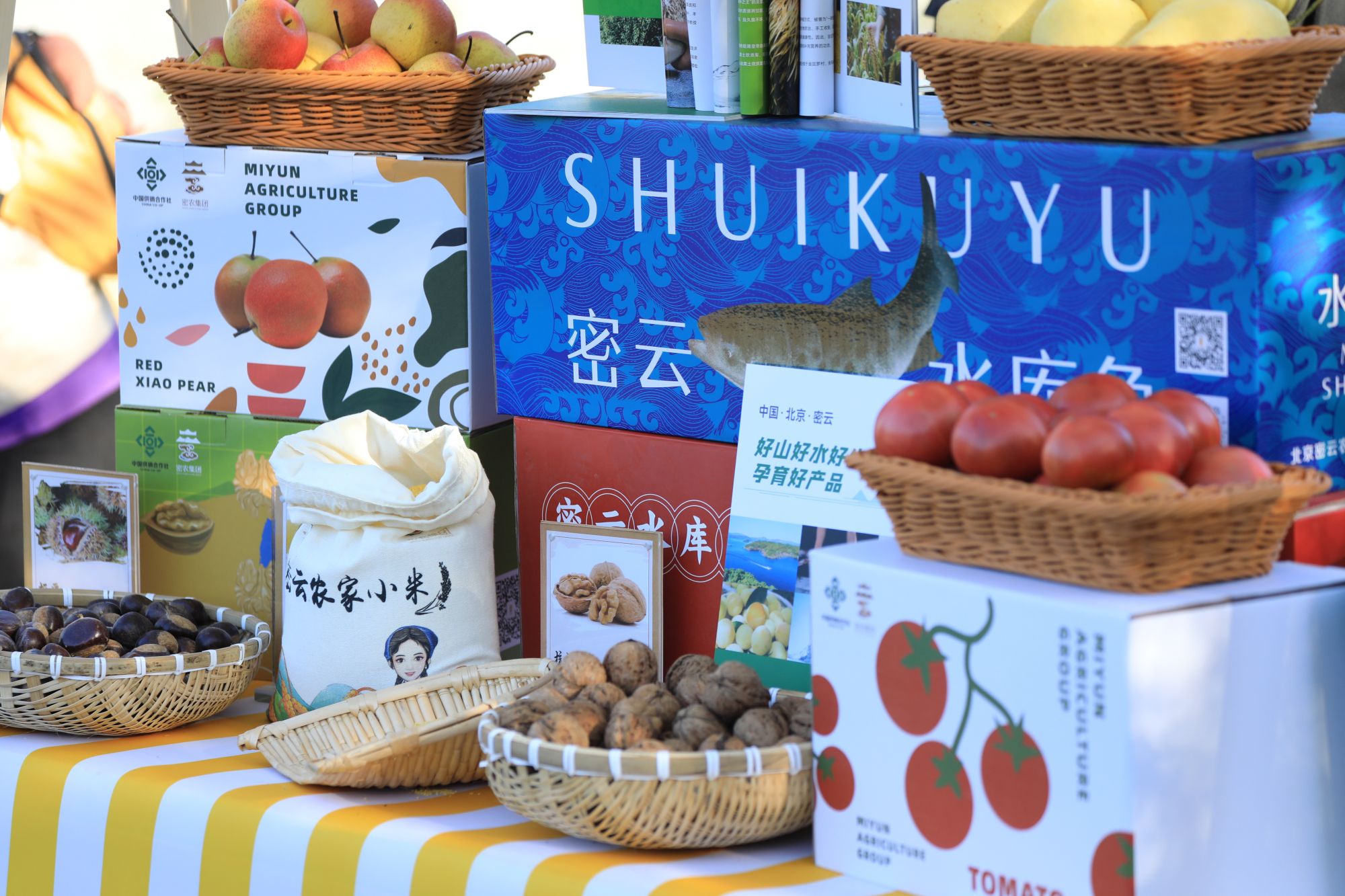 微信图片_20240923093246