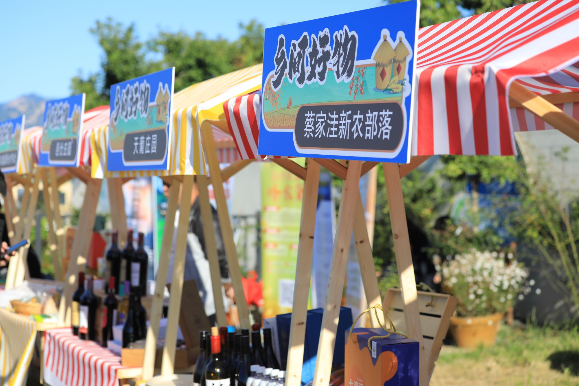 微信图片_20240923093242