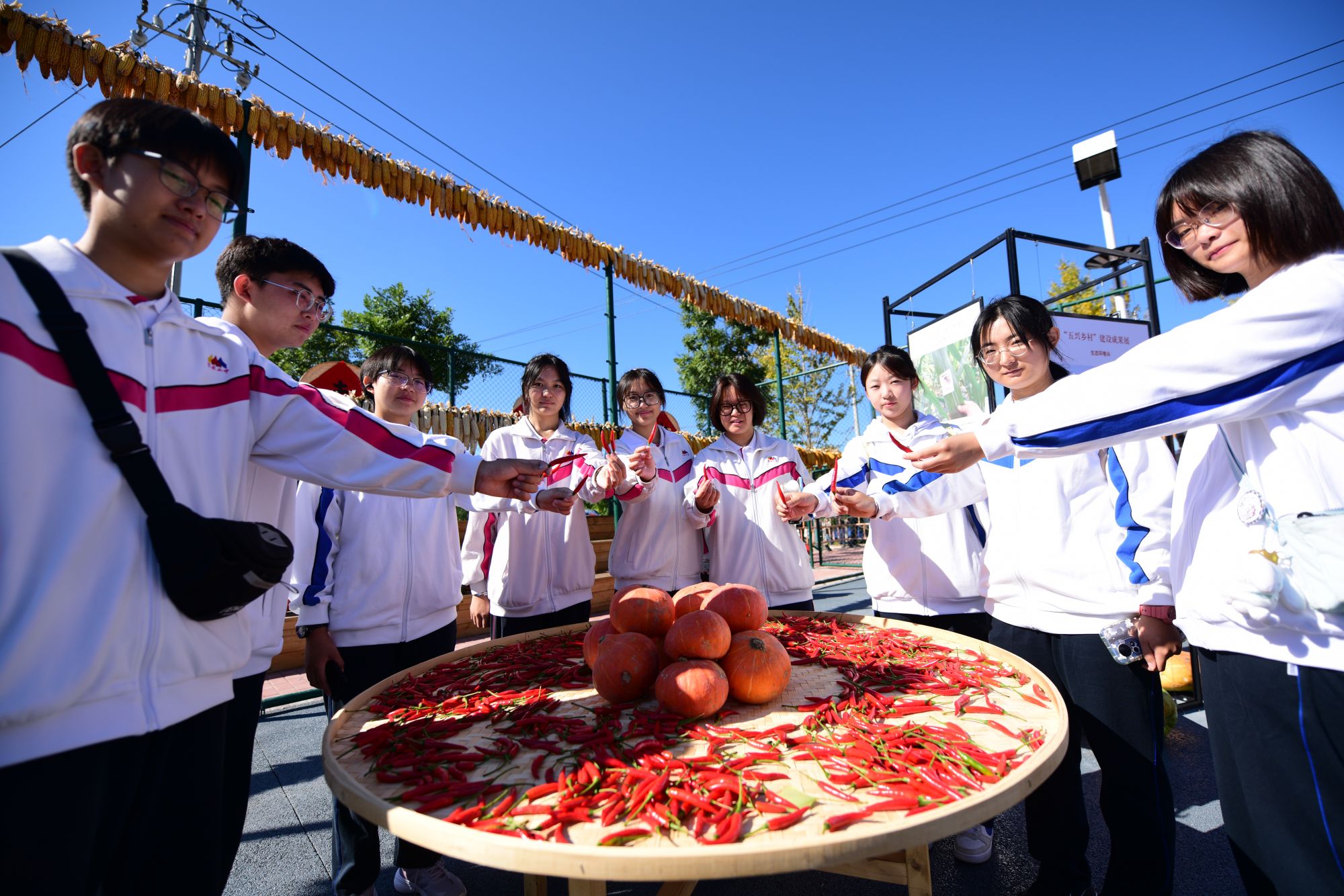 微信图片_20240923093238