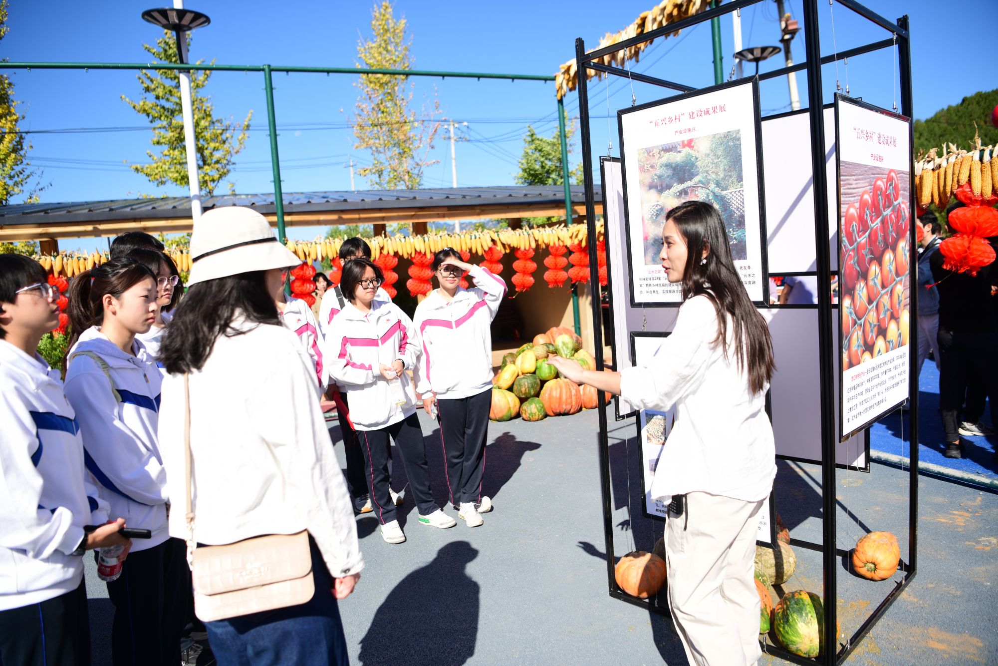 微信图片_20240923093229