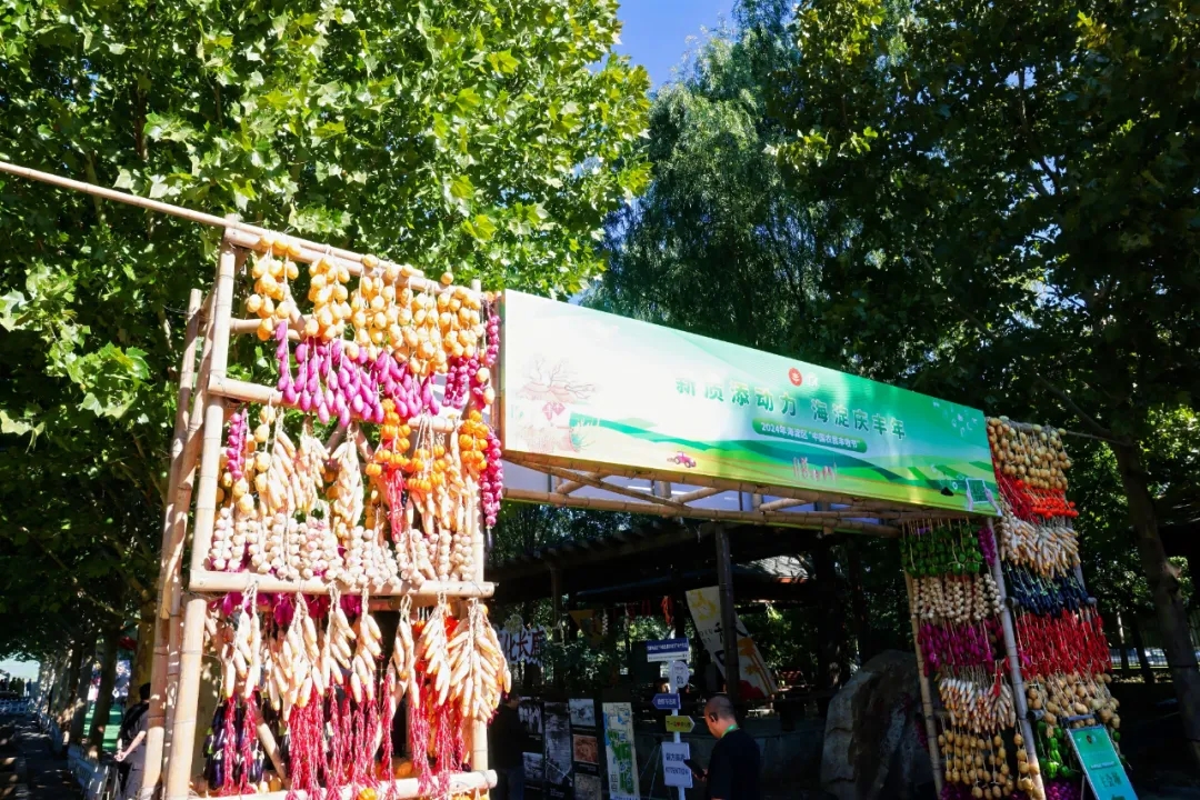 d90e7702c13f6ea0f6c1c244db376d70_640_wx_fmt=jpeg&from=appmsg&tp=webp&wxfrom=5&wx_lazy=1&wx_co=1