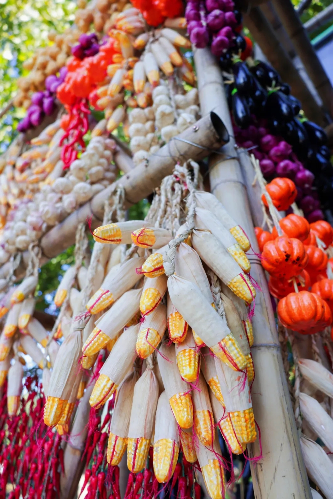 26f1a646d6d8bde8bab35446acf31c11_640_wx_fmt=jpeg&from=appmsg&tp=webp&wxfrom=5&wx_lazy=1&wx_co=1