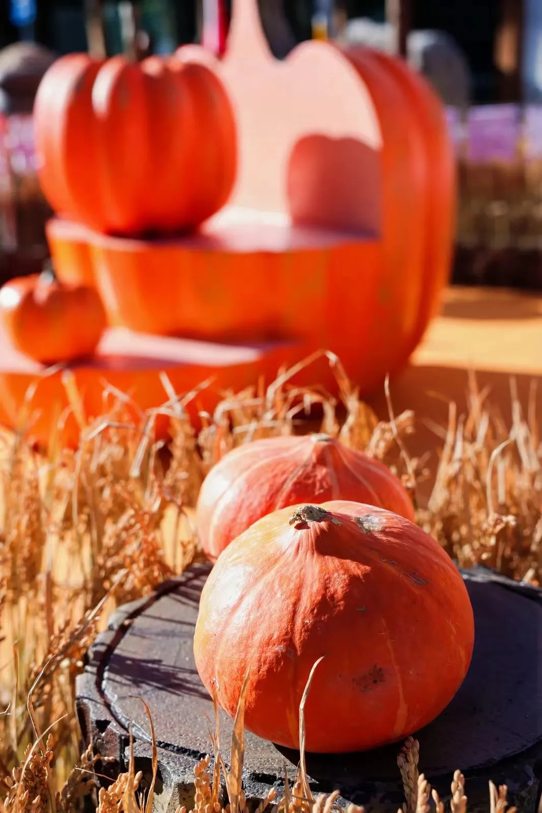 ed0c8c22aaf1595736b6c58c084b26f1_640_wx_fmt=jpeg&from=appmsg&tp=webp&wxfrom=5&wx_lazy=1&wx_co=1