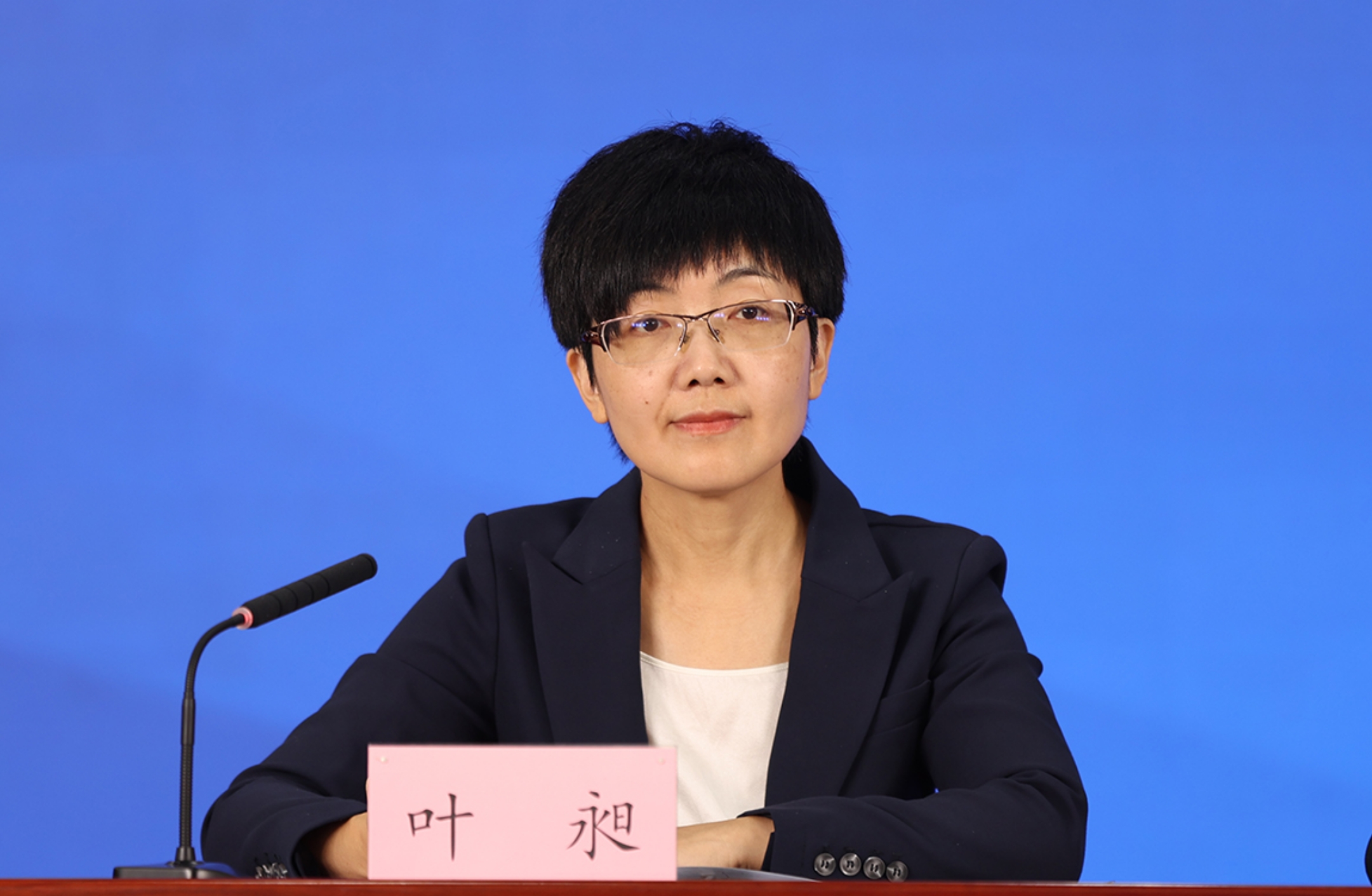 北京市委宣传部对外新闻处处长 叶昶