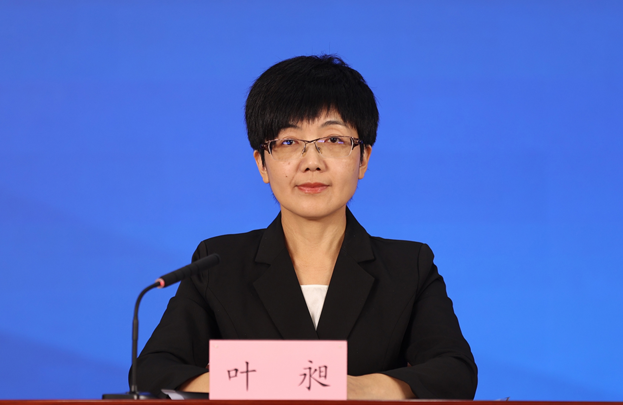 北京市委宣传部对外新闻处处长 叶昶