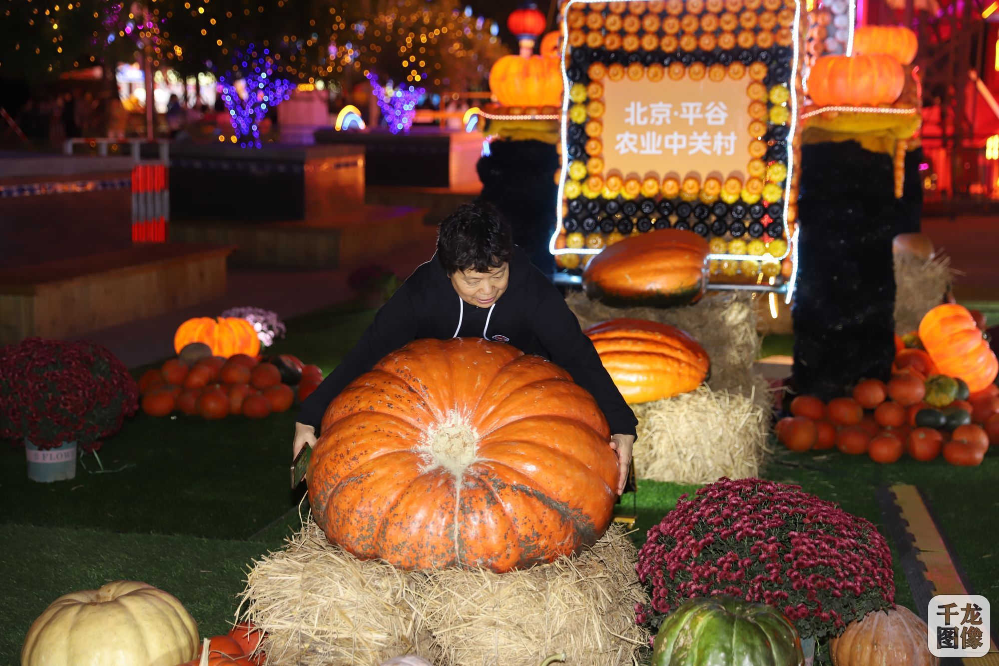 1d8c708ca24a30ee4b43be7657b503e