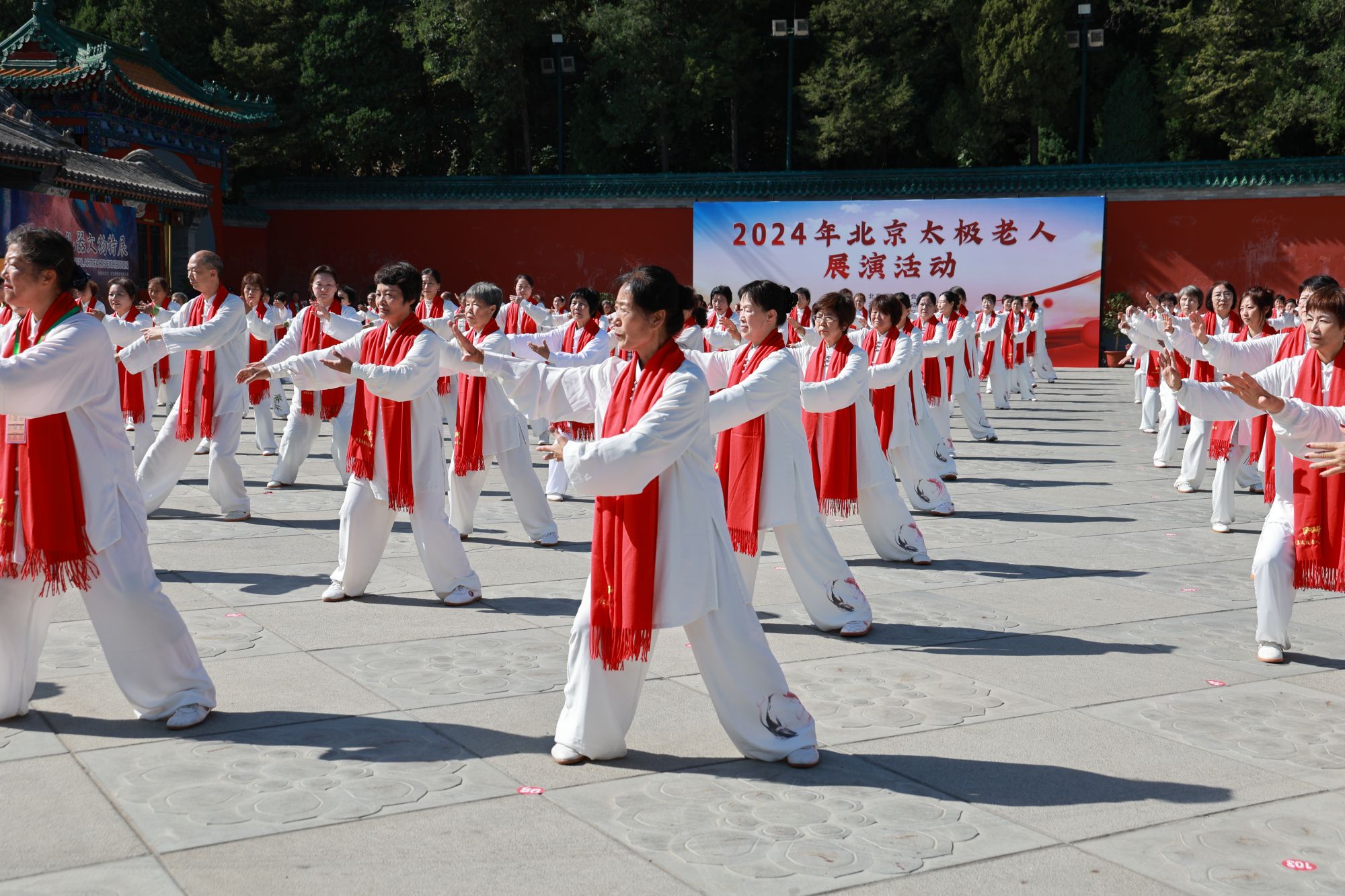 微信图片_20241011134843