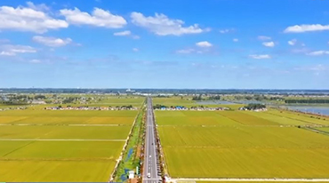 农业现代化“科技范儿”十足