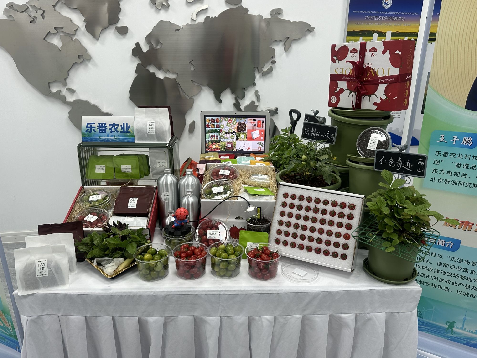 项目成果展2_proc