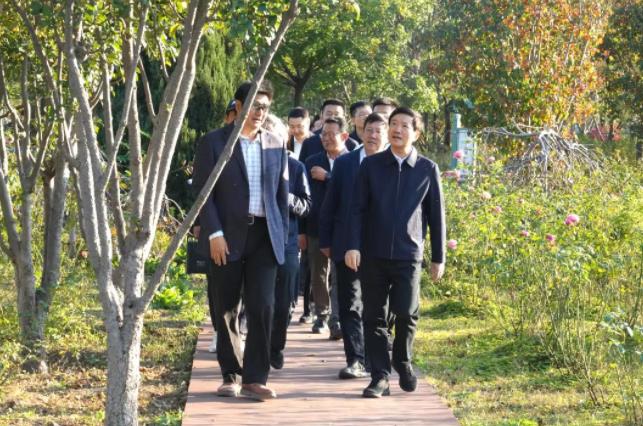 360截图20241017091138986