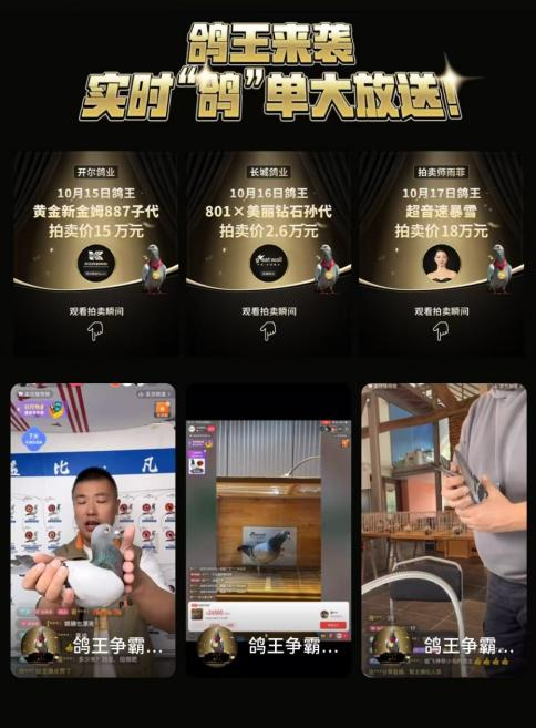 快手电商推出"鸽王争霸赛"活动,过亿话题曝光量引爆赛鸽季热度-千龙网