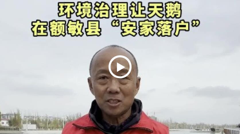 360截图20241024171857131