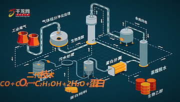 探寻新质生产力 | 科技助力 工业尾气如何变身饲料蛋白