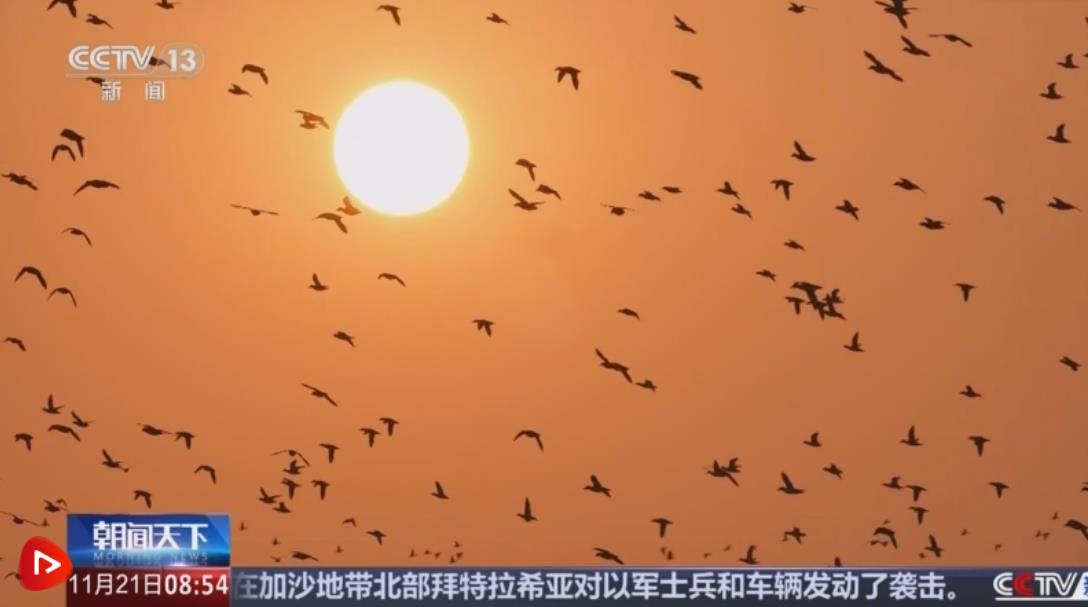 360截图20241121185205269
